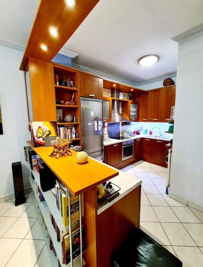 Large Terrace Apartment Near City Centre เอเธนส์ ภายนอก รูปภาพ