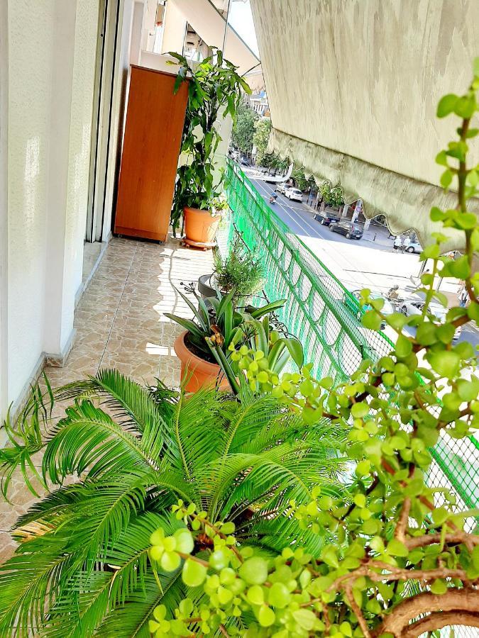 Large Terrace Apartment Near City Centre เอเธนส์ ภายนอก รูปภาพ