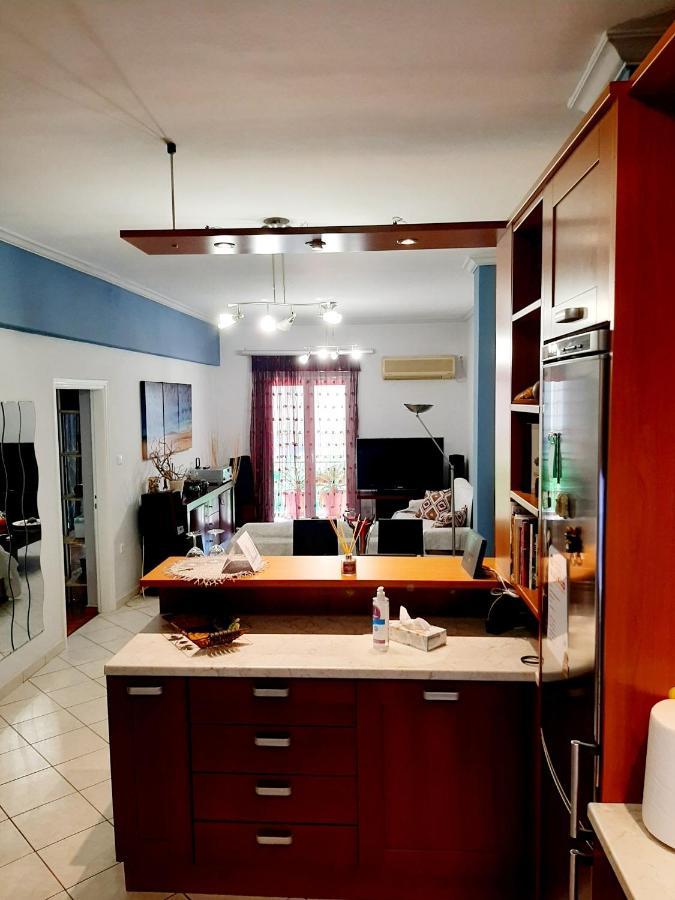 Large Terrace Apartment Near City Centre เอเธนส์ ภายนอก รูปภาพ