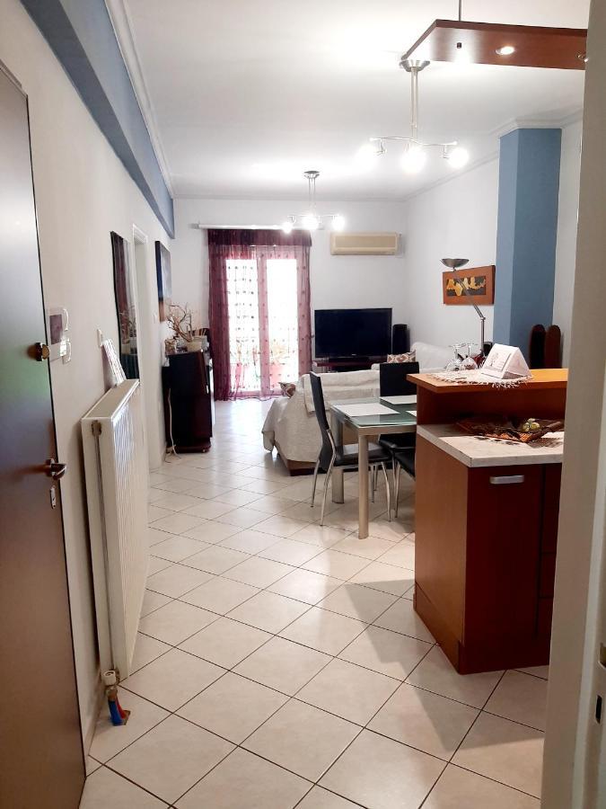 Large Terrace Apartment Near City Centre เอเธนส์ ภายนอก รูปภาพ